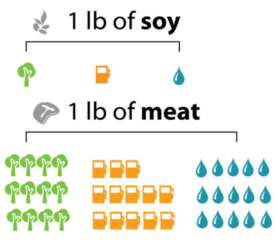 meat energy waste chart vegan chao